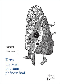 Picture of Dans un pays pourtant phénoménal