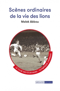 Picture of Scenes ordinaires de la vie des lions