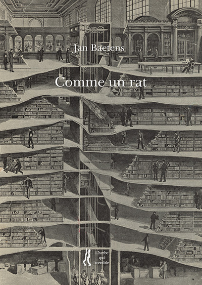 Image de Comme un rat