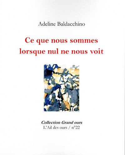 Image de Ce que nous sommes lorsque nul ne nous voit