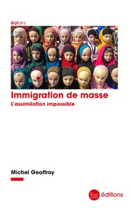 Image de Immigration de masse