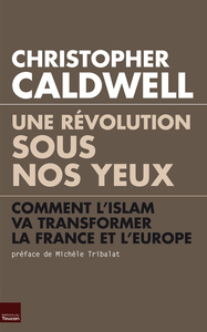 Image de Une révolution sous nos yeux Prix du livre incorrect 2012