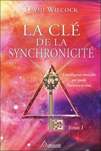 Picture of La clé de la synchronicité T1