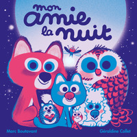 Image de Mon amie la nuit