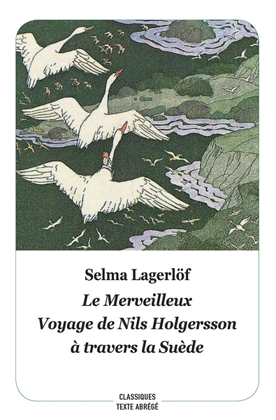 Image de Le merveilleux voyage de Nils Holgersson à travers la Suède