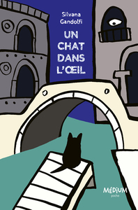Picture of Un chat dans l'œil