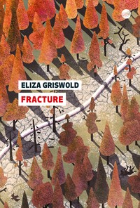 Picture of Fracture