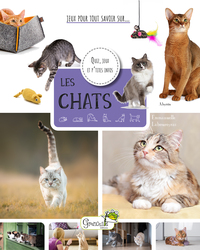 Image de Les chats