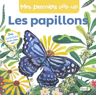 Image de Les papillons