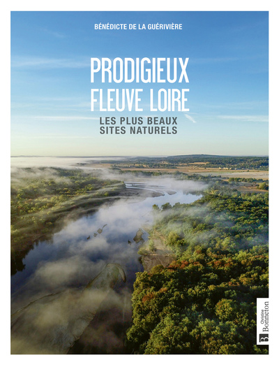 Picture of Prodigieux fleuve Loire