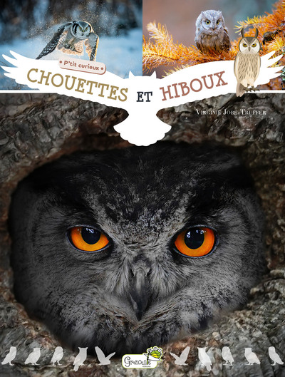 Picture of Chouettes et hiboux