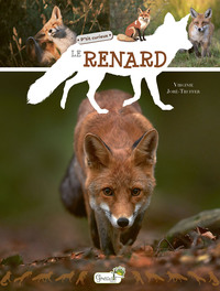 Image de Le renard