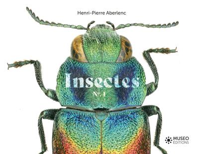Image de Insectes