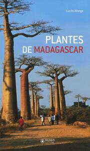 Image de Plantes de Madagascar