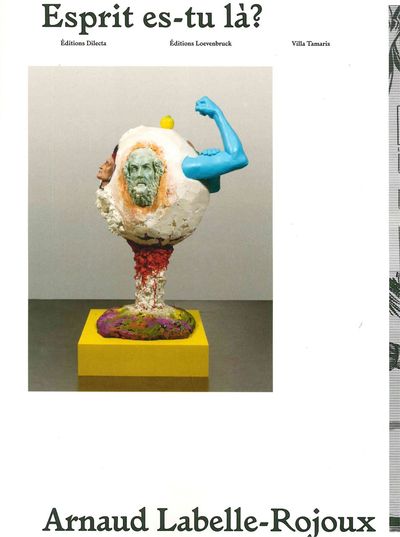 Image de Arnaud Labelle-Rojoux