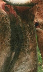 Image de We Will Go Far / A Way To Leak Lick Leek