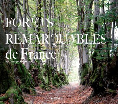 Picture of Forêts remarquables de France