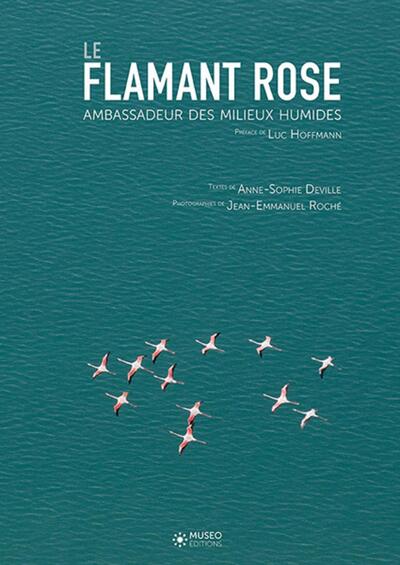 Image de Le flamant rose, ambassadeur des milieux humides