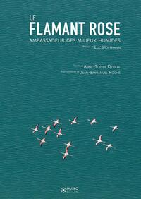 Image de Le flamant rose, ambassadeur des milieux humides