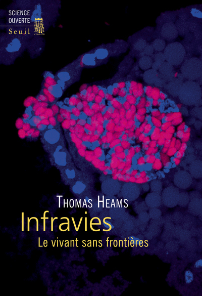 Image de Infravies