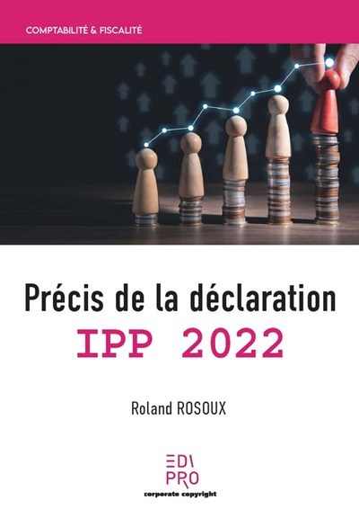 Image de Précis de la déclaration IPP 2022