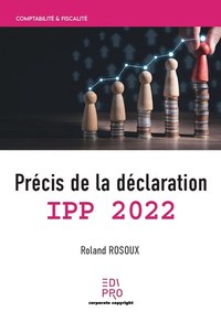 Image de Précis de la déclaration IPP 2022