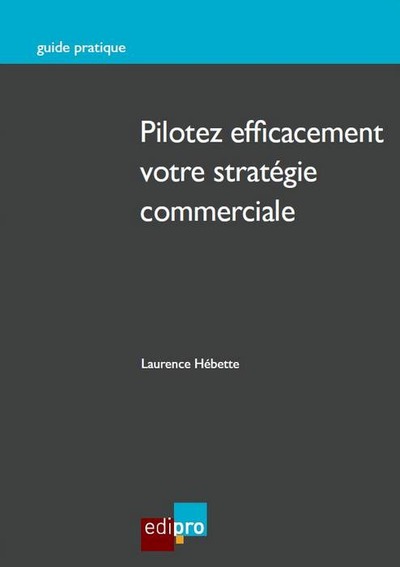 Picture of pilotez efficacement votre stratégie commerciale