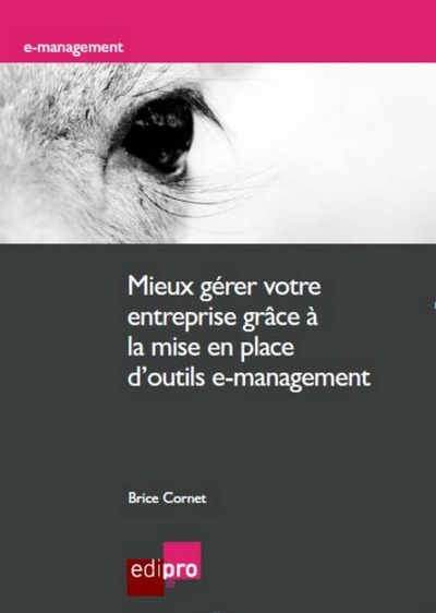Picture of MIEUX GÉRER VOTRE ENTREPRISE GRÂCE À LA MISE EN PLACE D'OUTILS E-MANAGEMENT