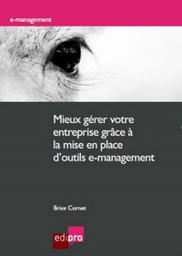 Picture of MIEUX GÉRER VOTRE ENTREPRISE GRÂCE À LA MISE EN PLACE D'OUTILS E-MANAGEMENT