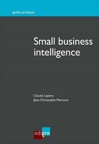 Image de SMALL BUSINESS INTELLIGENCE