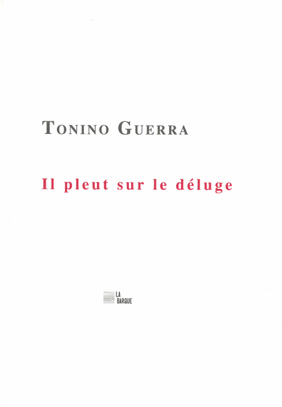 Picture of Il pleut sur le déluge