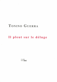 Picture of Il pleut sur le déluge