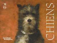 Image de Chiens