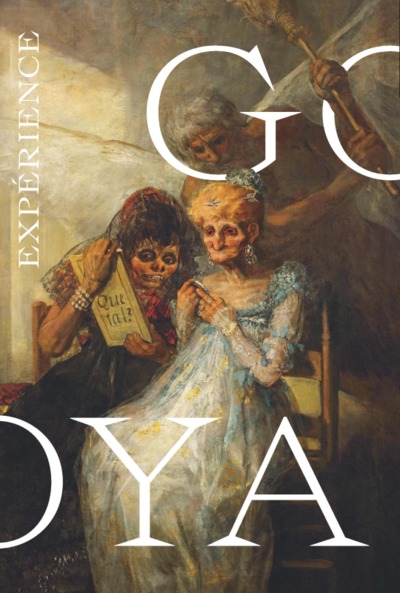 Picture of expérience goya