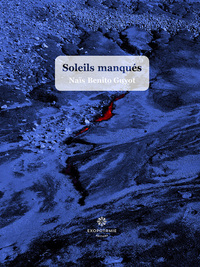 Picture of SOLEILS MANQUES
