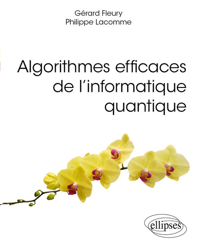Image de Algorithmes efficaces de l’informatique quantique