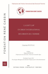 Image de La soft law en Droit international des Droits de l'Homme