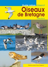 Image de Oiseaux de Bretagne