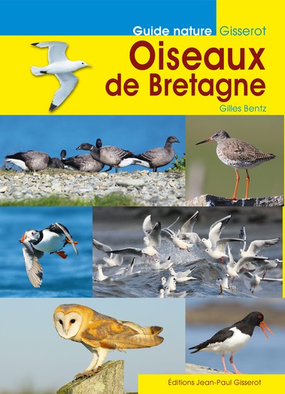 Image de Oiseaux de Bretagne