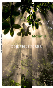 Picture of Manaus