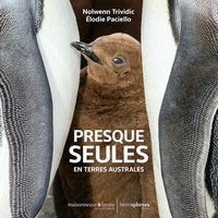 Image de Presque seules en terres australes