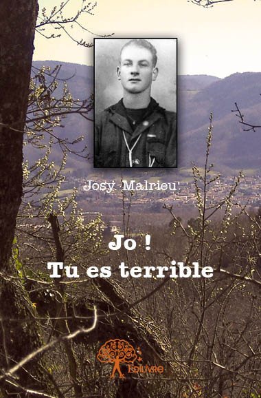 Image de Jo ! tu es terrible