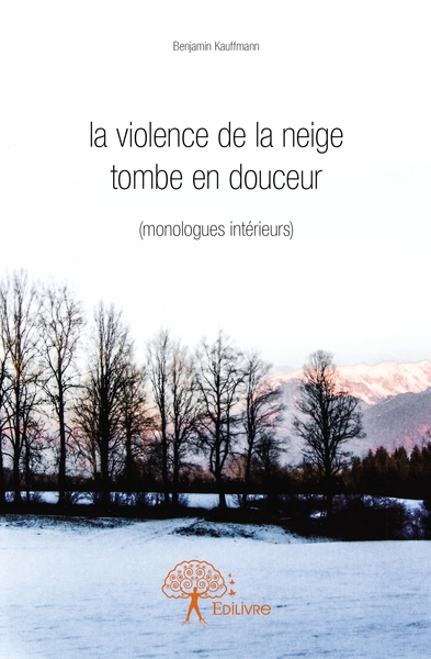 Image de La violence de la neige tombe en douceur