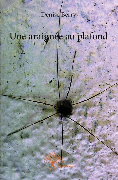 Picture of Une araignée au plafond