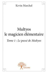 Image de Multyos le magicien élémentaire