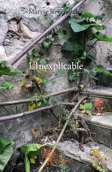 Picture of L'Inexplicable