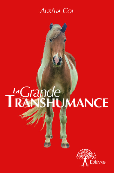 Image de La grande transhumance