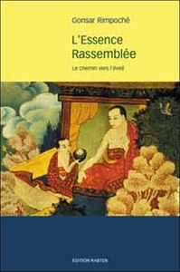Image de Essence rassemblée - Chemin vers l'éveil