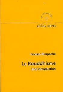 Image de Bouddhisme. Une introduction