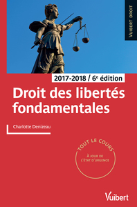 Image de Droit des libertés fondamentales